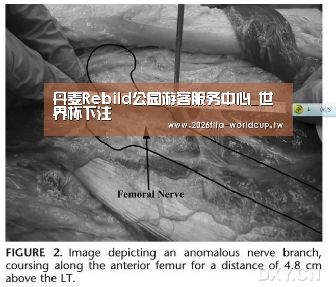 丹麦Rebild公园游客服务中心_世界杯下注(图1) 世界杯投注网
