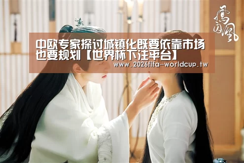 中欧专家探讨城镇化既要依靠市场也要规划【世界杯下注平台】(图2) 世界杯投注网