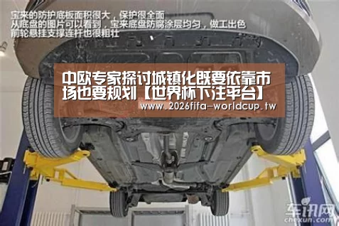 中欧专家探讨城镇化既要依靠市场也要规划【世界杯下注平台】(图3) 世界杯投注网