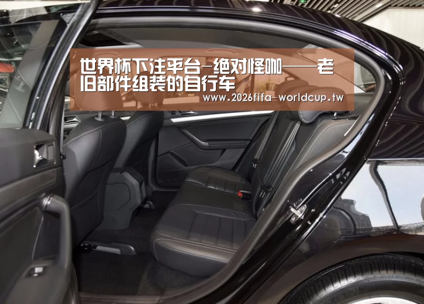 世界杯下注平台-绝对怪咖——老旧部件组装的自行车(图2) 世界杯投注网