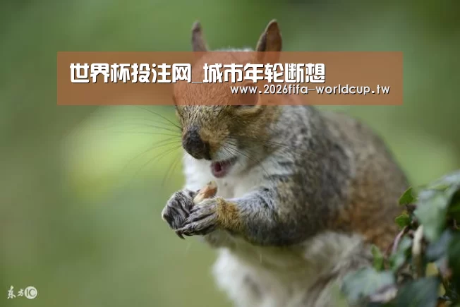 世界杯投注网_城市年轮断想(图3) 世界杯下注