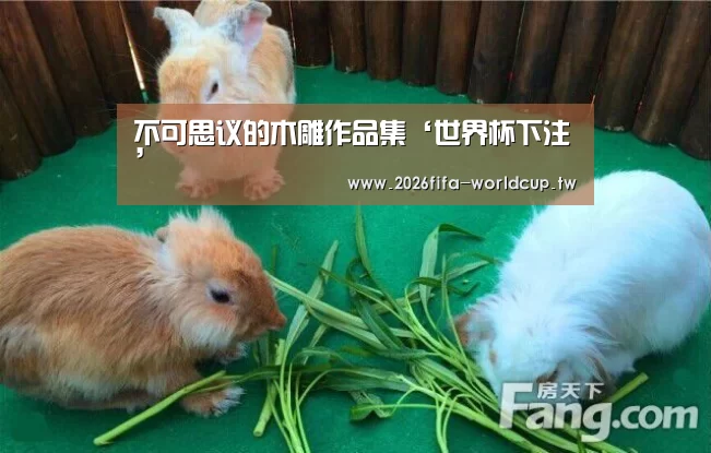世界杯下注平台