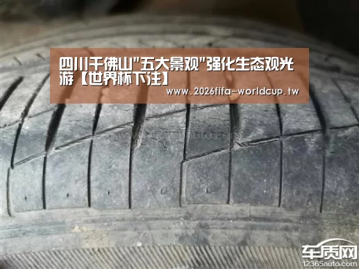 四川千佛山五大景观强化生态观光游【世界杯下注】(图2) 世界杯下注平台