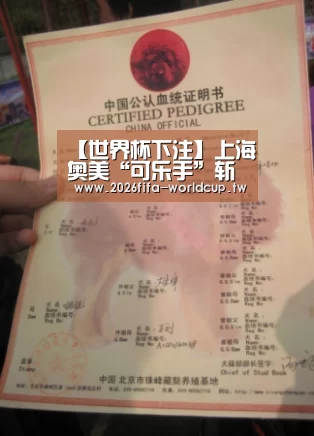 【世界杯下注】上海奥美“可乐手”斩获戛纳户外类全场大奖(图2) 世界杯下注平台