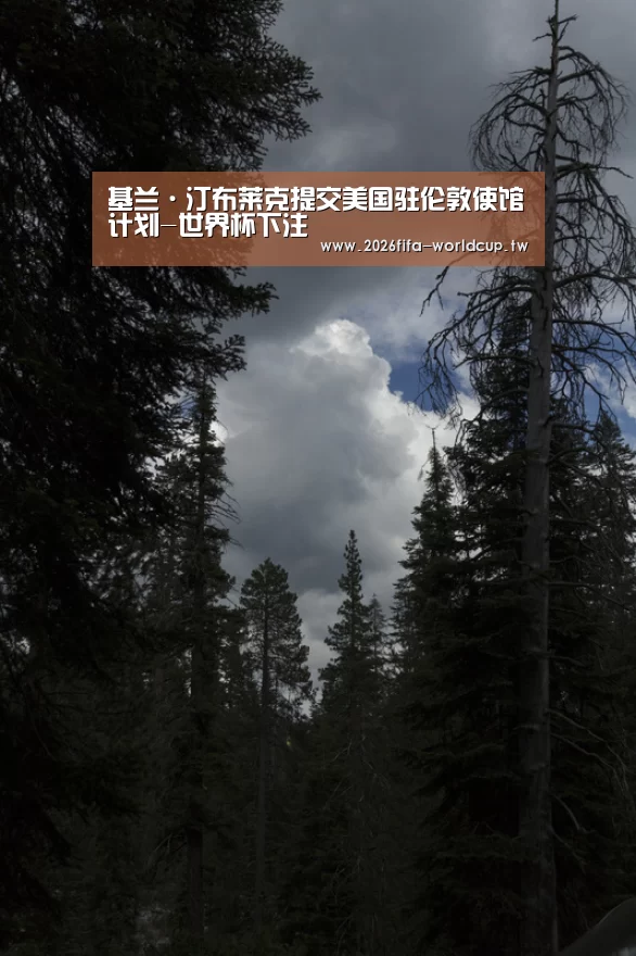 基兰·汀布莱克提交美国驻伦敦使馆计划-世界杯下注(图1) 世界杯投注网