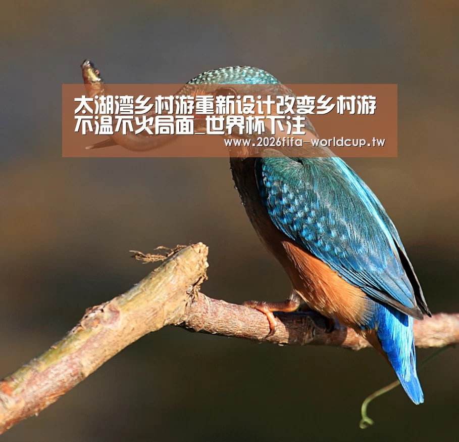 太湖湾乡村游重新设计改变乡村游不温不火局面_世界杯下注(图2) 世界杯下注