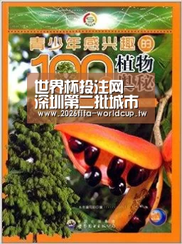 世界杯投注网