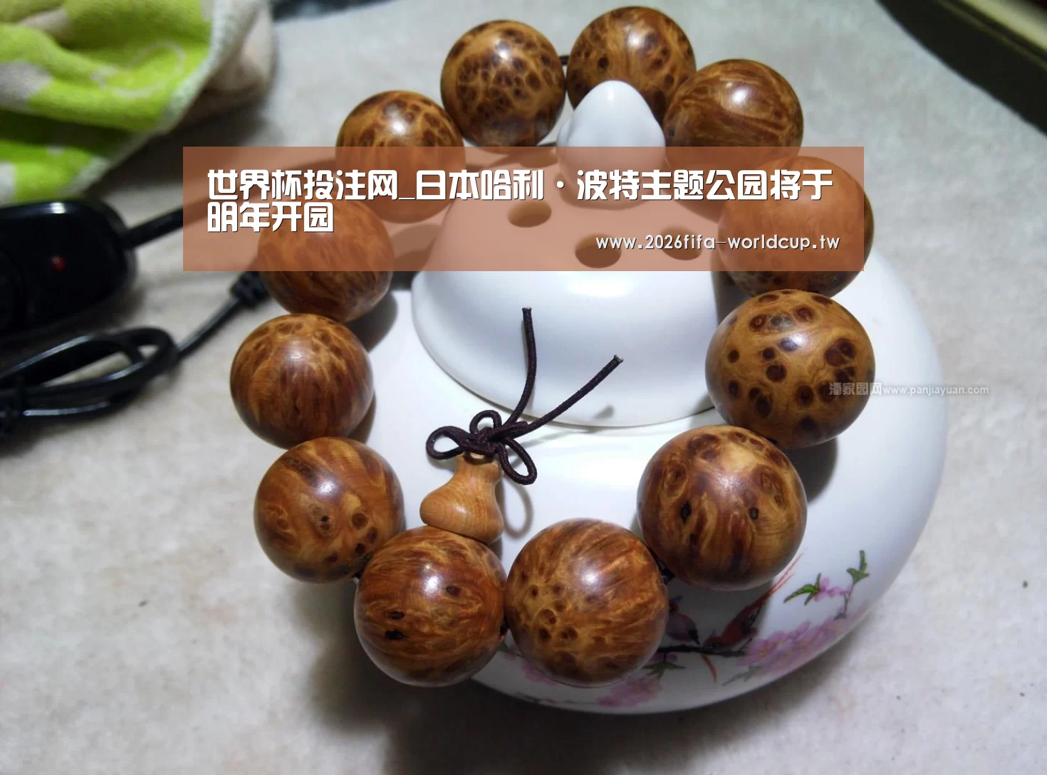 世界杯下注