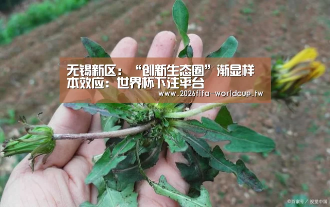 无锡新区:“创新生态圈”渐显样本效应:世界杯下注平台(图1) 世界杯投注网